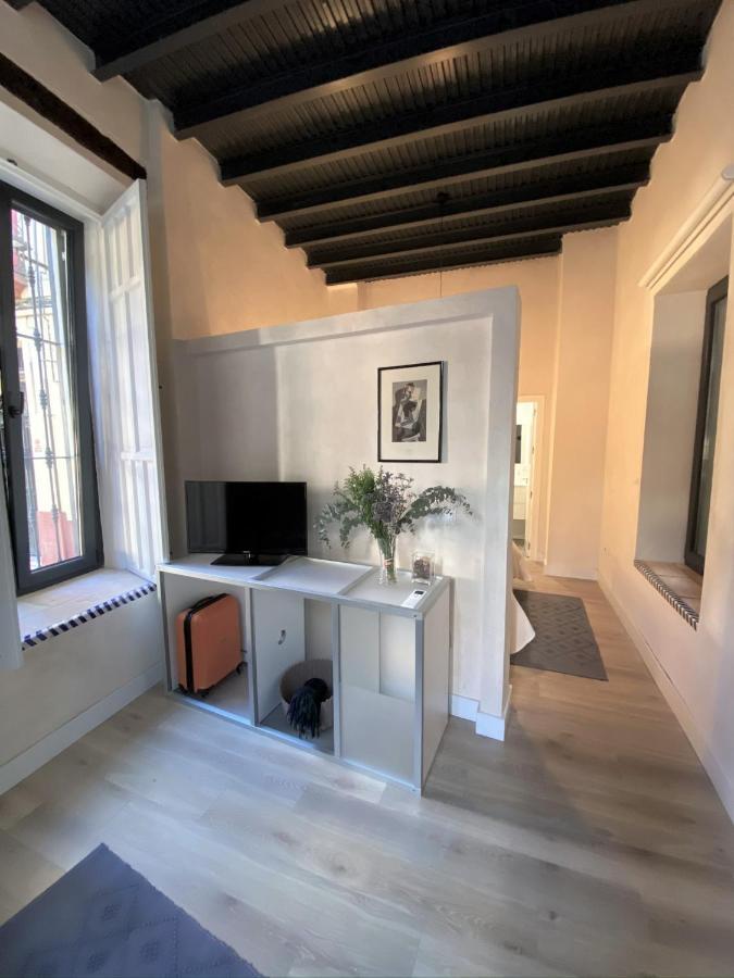 Casa Casco Historico * Sevilla